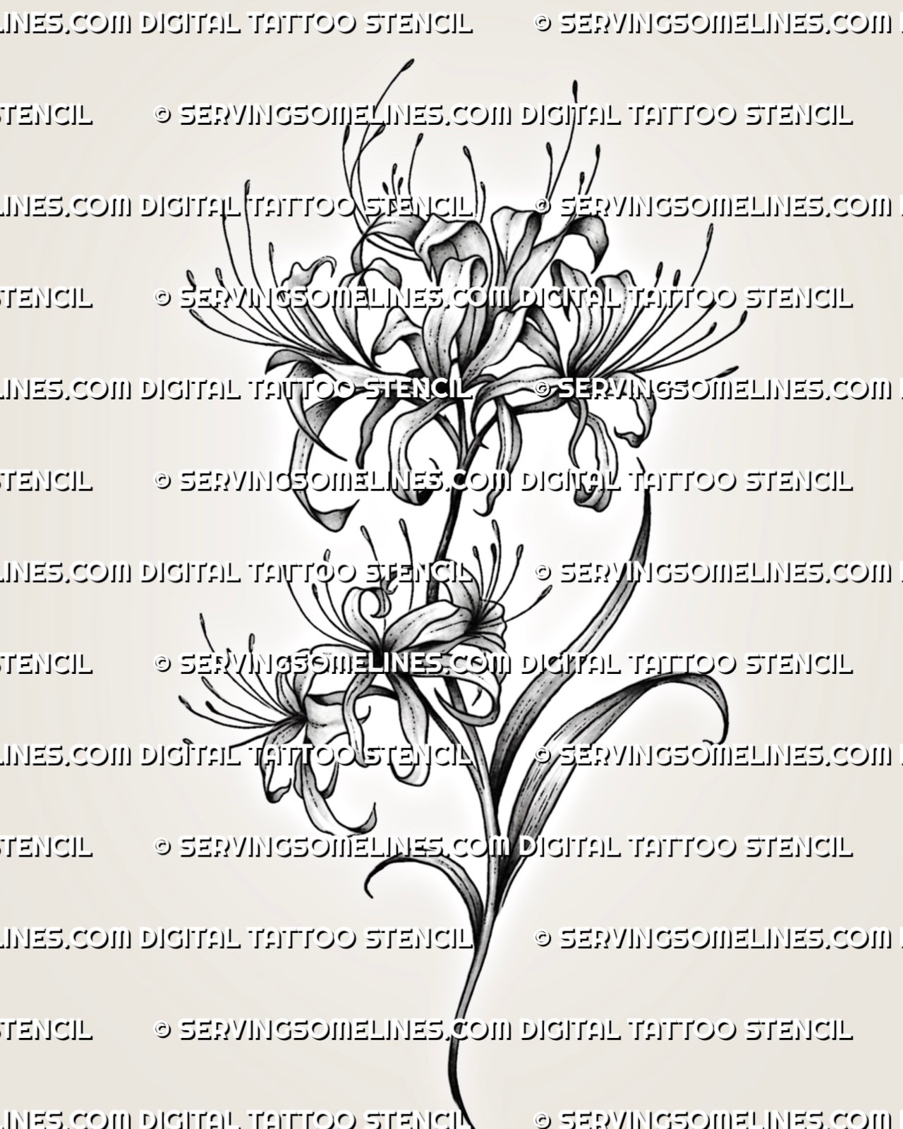 Spider Lily Tattoo Stencil
