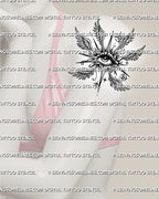 Angel eye tattoo shown on womens shoulder upper arm placement, with winged eye shape, stars, and clean stencil detail.