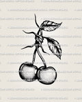 Barbed wire cherry tattoo stencil with shaded cherries and barbed stem knot detail