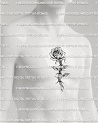 Barbed wire rose tattoo shown on men’s center chest placement with vertical rose stem detail
