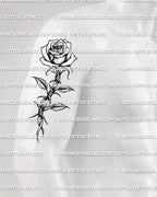 Barbed wire rose tattoo stencil shown on men’s upper arm placement with shaded rose and wire stem