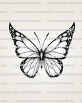 Black and white butterfly tattoo stencil design with bold wing edges, fine line sections, and soft dot shading