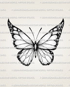 Black and white butterfly tattoo stencil design with bold wing edges, fine line sections, and soft dot shading