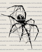 Black widow spider tattoo stencil with hourglass abdomen detail, sharp legs, thin web linework, and bold black body.