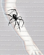placement with sharp spider legs, hourglass detail, and fine web linework.