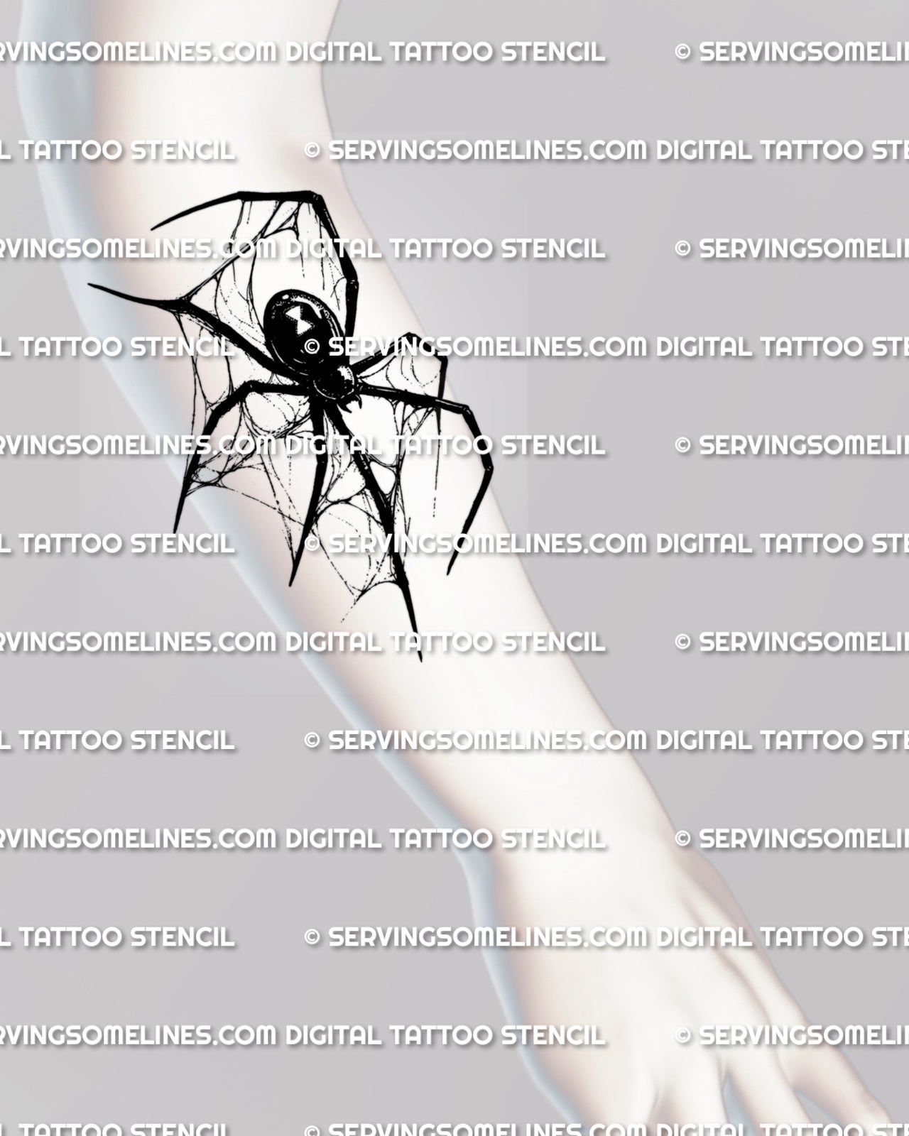 placement with sharp spider legs, hourglass detail, and fine web linework.