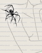 Black widow tattoo shown on women’s upper arm placement with hourglass abdomen detail and clean spider silhouette.