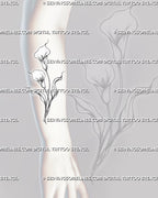 Calla lilies tattoo shown on the forearm with two vertically arranged flowers, slender stems, flowing leaves, and clean black linework