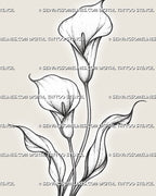 Close detail of calla lily flower tattoo stencil showing folded trumpet-shaped petals, central spadices, fine contour lines, stippling, and leaf veins