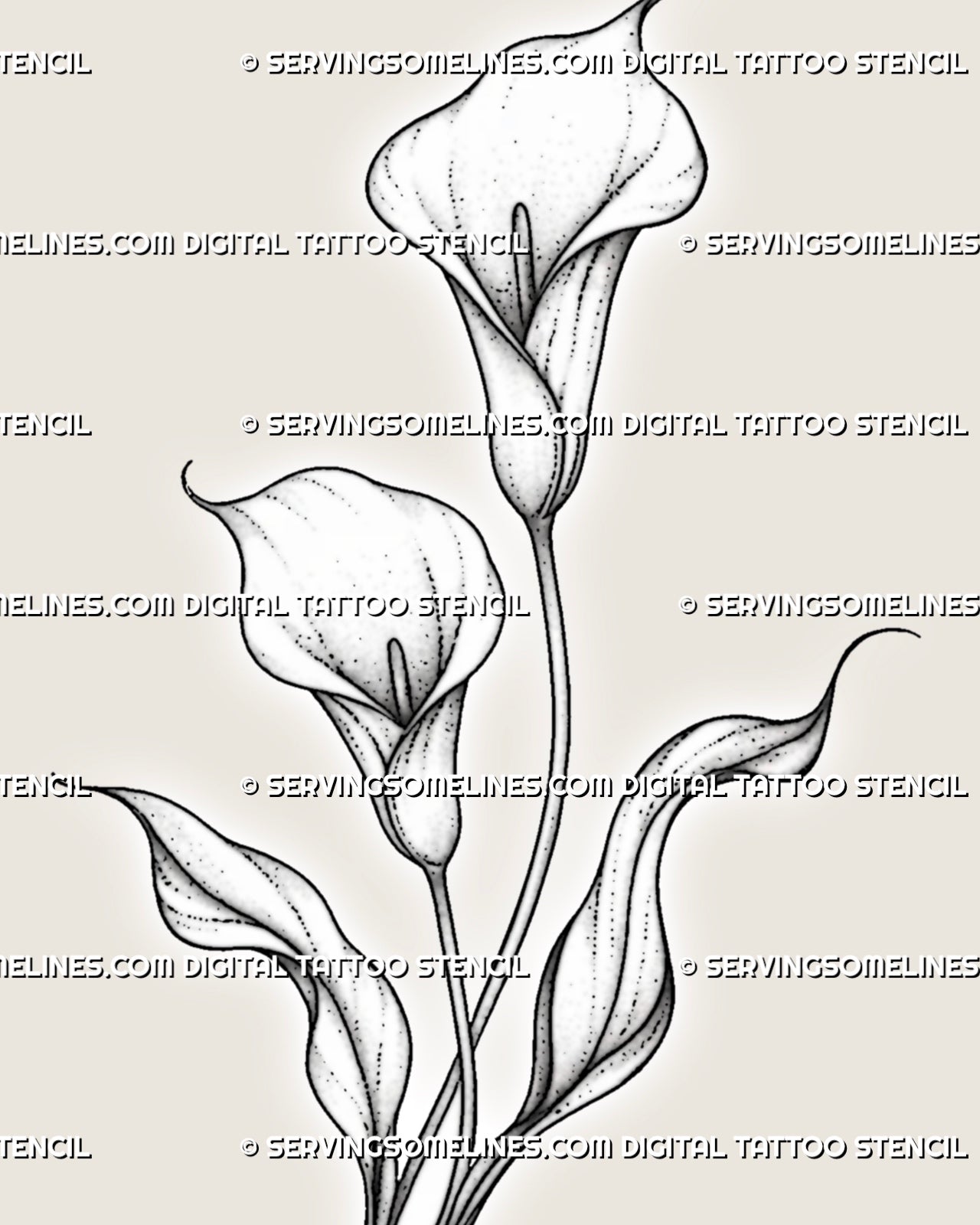 Close detail of calla lily flower tattoo stencil showing folded trumpet-shaped petals, central spadices, fine contour lines, stippling, and leaf veins