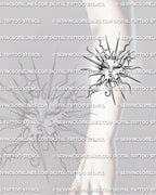 Celestial sun tattoo displayed on forearm placement, with flowing rays, star accents, and clear sun face detail. 