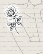 Classic rose tattoo stencil displayed on women’s arm placement with single bloom, long stem, leaves, and soft shaded petals