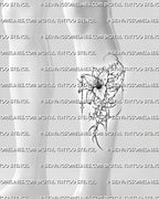 Cyber sigilism lily tattoo stencil shown on lower leg placement with vertical flower flow and sharp ornamental details 