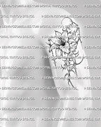 Cybersigilism lily tattoo stencil displayed on men’s upper arm placement with vertical flower shape and sharp cyber details 