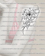 Cybersigilism lily tattoo stencil shown on women’s arm placement with sharp floral framing and dark botanical linework