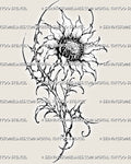 Cybersigilism sunflower tattoo stencil with a textured seed center, pointed petals, thorned cyber floral shapes, hooked leaves, and dark stippled details