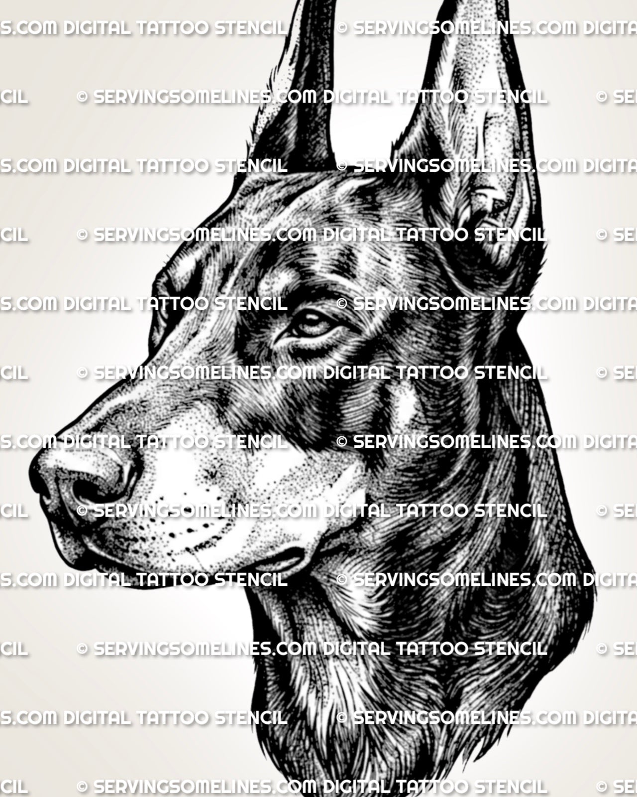 Doberman head tattoo stencil with clean black linework, long muzzle, cropped ears, and shaded dog portrait detail.
