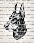 Doberman tattoo stencil with sharp ears, side-profile dog portrait, shaded fur texture, and clean printable file.