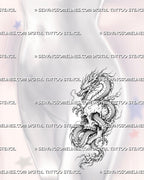 Dragon and skull tattoo stencil shown on female hip with dragon wrapped around skull, flowing body, sharp claws, whiskers, and dark tattoo detail