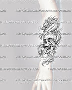 Dragon and skull tattoo stencil shown on forearm with dragon wrapped around skull, horned head, claws, whiskers, and vertical tattoo layout