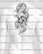 Dragon and skull tattoo stencil shown on men’s upper back with large skull, Eastern dragon body, claws, whiskers, and dark fantasy composition