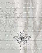 Feminine moth tattoo stencil shown on shin placement, with long lower wings, moon detail, and clean vertical stencil flow. 
