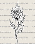 Flame rose tattoo stencil with a full layered bloom, flaming petals, fire-shaped leaves, long thorned stem, and fine stippled shading
