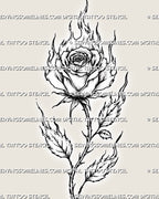 Close-up of a flaming rose tattoo design showing layered petals, flames rising from the bloom, stippling, thorns, and burning leaf tips