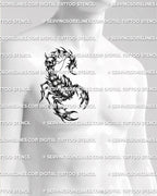 Gothic scorpion tattoo shown on mens pec placement, with skull tail detail, wide claws, and dark scorpion shape.