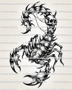 Gothic scorpion tattoo stencil with skull tail detail, sharp claws, segmented body armor, and dark shaded linework.
