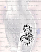 Gothic scorpion tattoo displayed on womens hip placement, with skull tail, sharp claws, and dark segmented body detail. 