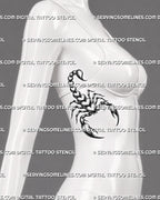 Gothic scorpion tattoo displayed on women’s ribs, using a vertical heart body shape with fine legs and dotted shading