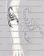 Heart scorpion tattoo design shown on forearm placement, with curved tail, open claws, and dark feminine blackwork details
