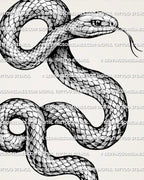 Close-up of illustrative snake tattoo design showing detailed scale texture, raised serpent head, forked tongue, and fine linework.