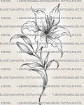 Lily flower tattoo stencil with open bloom, curved stem, leaf detail, dot shading, and clean black botanical linework