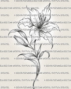 Lily flower tattoo stencil with open bloom, curved stem, leaf detail, dot shading, and clean black botanical linework