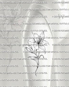 Lily flower tattoo stencil shown on female front thigh placement, with open bloom, curved leaves, and vertical floral flow