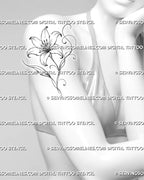 Lily line art tattoo shown on women’s upper arm with six open petals, visible stamens, two slender leaves, and elegant curling flourishes