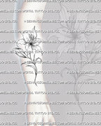 Lily flower tattoo stencil shown on forearm placement, with curved stem, open petals, and clean floral linework