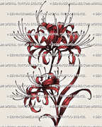 Lycoris radiata tattoo stencil with red spider lily blooms, curved stem, shaded petals, and clean floral linework