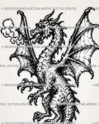Close view of medieval dragon tattoo stencil showing horned dragon head, open mouth, smoke breath, wing texture, claws, and woodcut-style linework