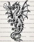 Medieval dragon tattoo stencil with full-body winged dragon, horned head, open mouth, smoke breath, sharp claws, spiked back, and curled tail