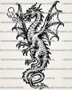 Medieval dragon tattoo stencil with full-body winged dragon, horned head, open mouth, smoke breath, sharp claws, spiked back, and curled tail