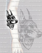 Neotribal Doberman tattoo shown on forearm placement, with sharp dog profile, dark linework, and readable vertical shape. 