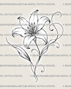 Outline lily tattoo stencil with one open flower, six curved petals, visible stamens, a flowing stem, two pointed leaves, and long decorative curls