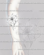 Outline lily tattoo stencil shown on the forearm with a vertical flower composition, visible stamens, narrow leaves, and long flowing line-art curls
