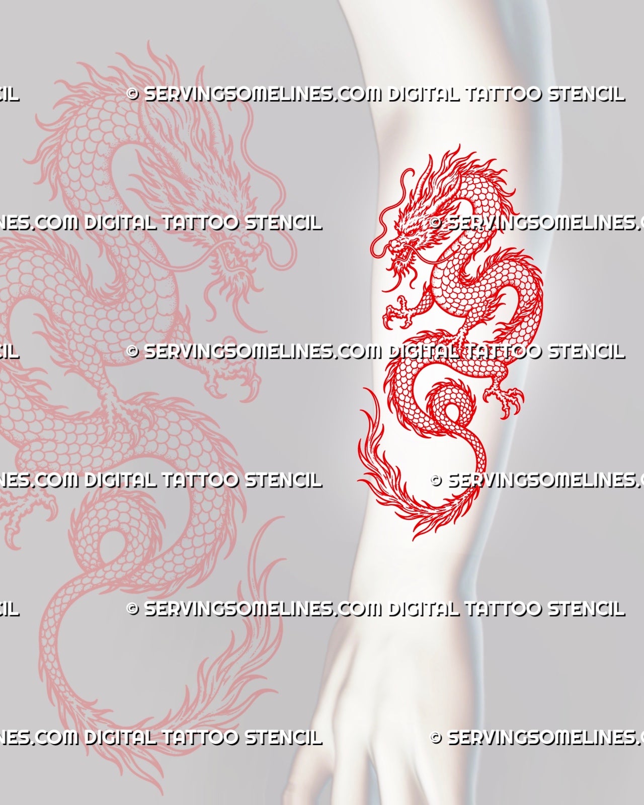 Red dragon tattoo stencil shown on forearm with long Eastern dragon body, flowing S-shape, scales, claws, whiskers, and curled tail detail