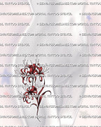 Red spider lily tattoo design shown on female hip placement, with curved stem, red floral detail, and long stamens