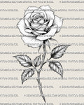 Rose tattoo stencil design with single bloom, long stem, pointed leaves, soft petal shading, and clean printable linework