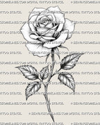 Rose tattoo stencil design with single bloom, long stem, pointed leaves, soft petal shading, and clean printable linework